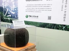 -中国茶叶博物馆(双峰馆区)