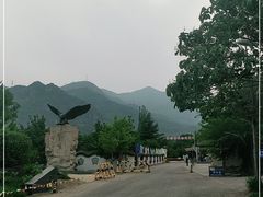 -北京鹫峰国家森林公园