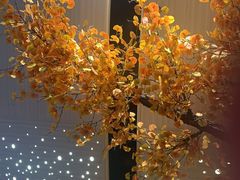 -青水瓦台汤泉(未央店)