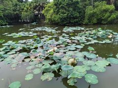 -滴水岩森林公园