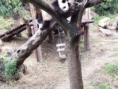 -宁波野生动物园