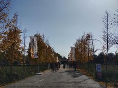 -汉景帝阳陵博物院