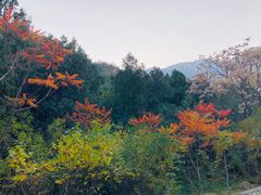 -北京凤凰岭