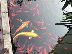 -聚缘堂·海鲜私房菜(松岭路店)