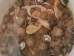 -东戴河风景区-止锚湾