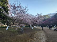-杭州植物园