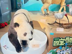 -陕西自然博物馆