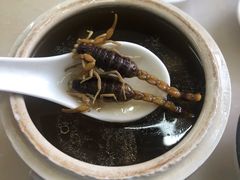 蝎子党参乌鸡汤-国英炖品店(甲子路店)