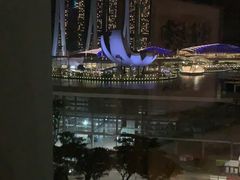 -新加坡乌节希尔顿酒店 (SG Clean)