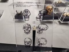 -北京周口店北京人遗址博物馆