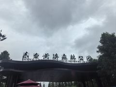 -黄海国家森林公园