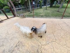 -南京金牛湖风景区