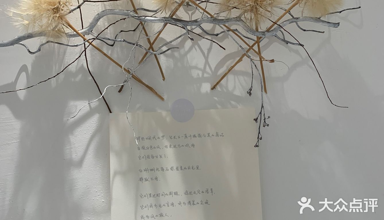 白色蒲公英的约定