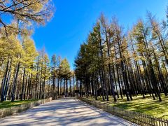 -塞罕坝国家级自然保护区