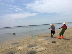 -北海金海湾红树林生态旅游区