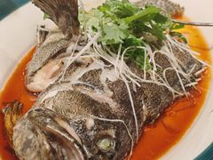 蒸龙胆-鸿鑫海鲜楼(建联店)