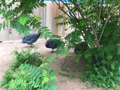 -森林公园(尖草坪区)