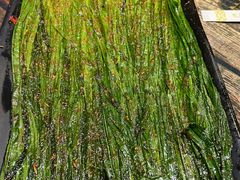 -龙虾风暴(松江店)