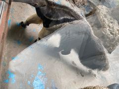 -济南野生动物世界