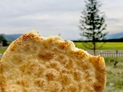 -新疆那拉提国家旅游度假区