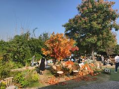 -HERRE·FARM 赫尔露营农场·团建聚会包场