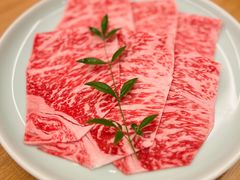 -然锅料理