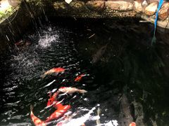 门面-阿多私房菜(顺德店)