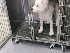 -宠福鑫康馨动物医院·骨科·眼科