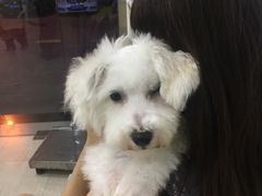 -佳雯宠物医院(四明中路分院)