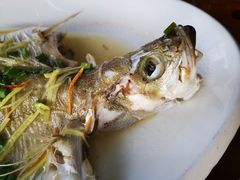 冰鲜海鲈-八仔大富楼·河鲜(西江店)