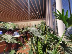 -Seesaw Coffee(朝阳大悦城店)