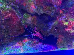 -多彩贵州城极地海洋世界