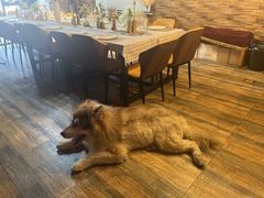 -玩坞轰趴馆·户外团建聚会主题生日派对馆(世豪广场店)