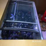 免费的梦龙雪糕[加油]