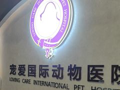 -宠爱国际动物医院·疑难骨科·心肾内科·皮肤科(太阳宫店)