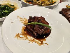 -圆苑(静安寺店)