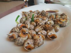 白灼花螺-莆鑫海鲜城(浏河店)