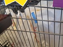 -胖东来生活广场(健康路店)