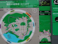 -银湖山郊野公园-相思林