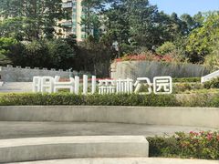 -阳台山森林公园