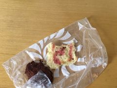 -向阳松鼠(江口店)