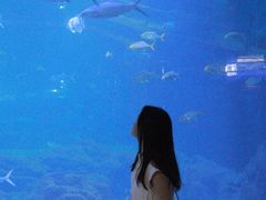 -福州罗源湾海洋世界旅游区