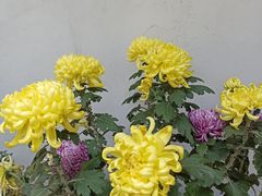 -汇龙潭