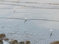 -几米咖啡(龙洲湾花园店)