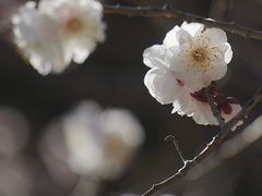 -颐和园