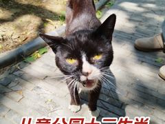 -贮水山儿童公园