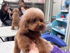 -北京观赏动物医院·24小时大型综合·猫专科·异宠专科