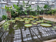 -国家植物园南园