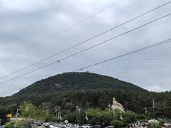 -帽儿山国家森林公园