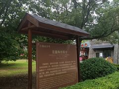 -陶祖圣境风景区